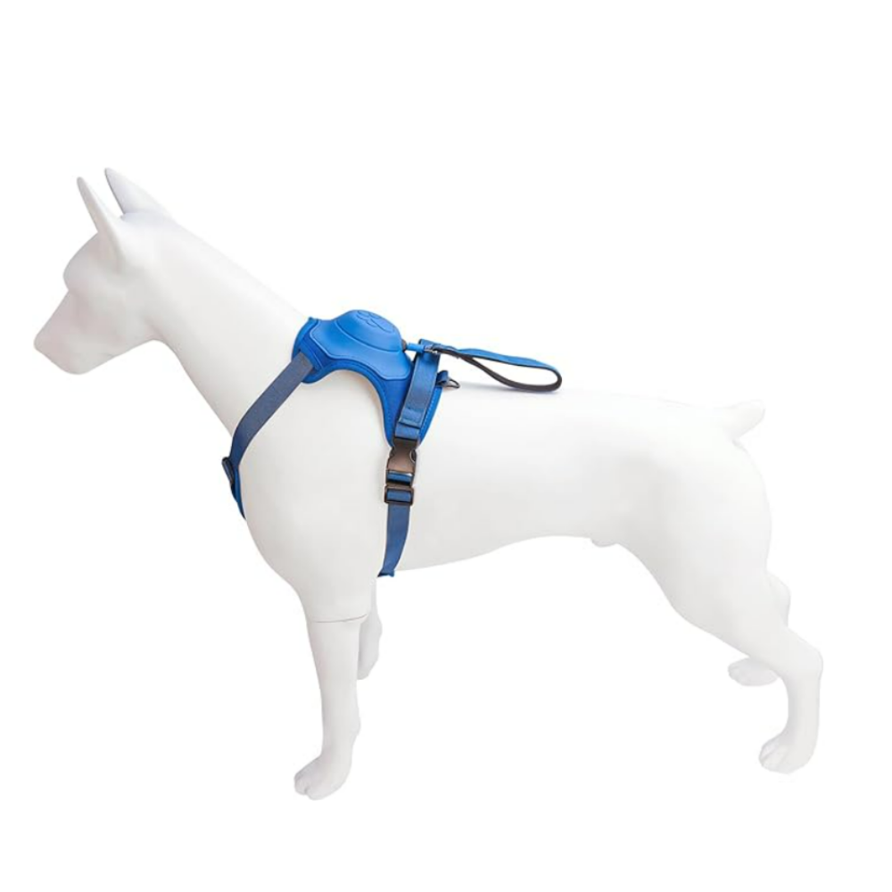 Arnés Perro Con Correa Retráctil Colores