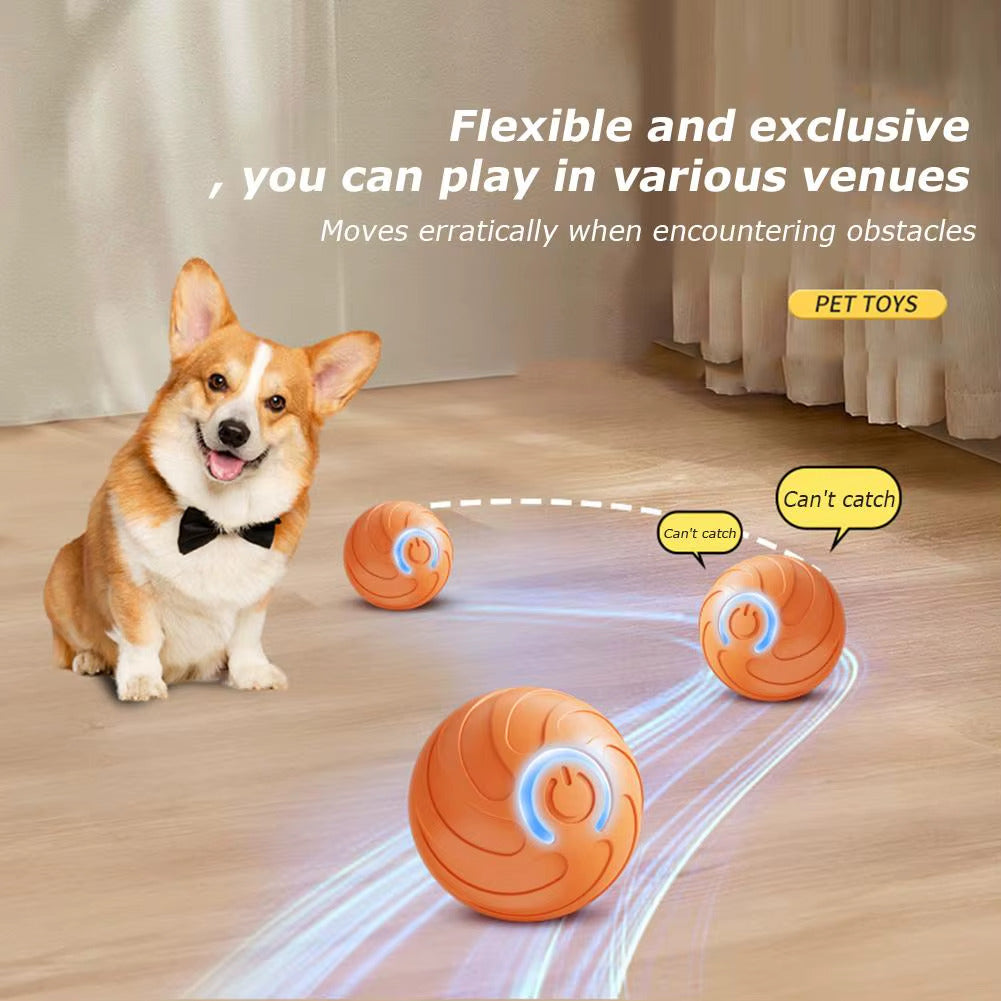 Pelota Inteligente Para Perros y Gatos
